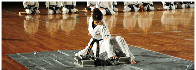 Shorinjiryu Karate-do Renshinkan, Kanto region headquarter Budo Karate (martial art & karate) Imai Dojo