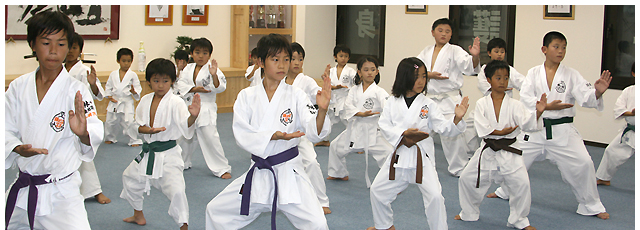  Shorinjiryu Karate-do Renshinkan, Kanto region headquarter Budo Karate (martial art & karate) Imai Dojo 